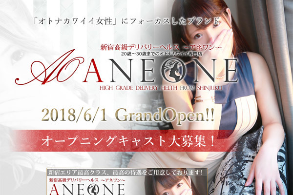 デリバリーヘルス ANEONE~アネワン~の画像